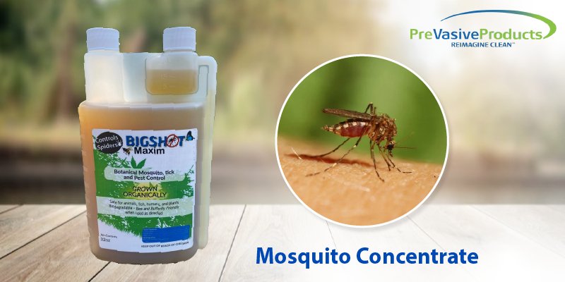 How Does Mosquito Control Enhance Outdoor Comfort & Safety?