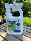 Botanical BIGSHOT Maxim - Non-Toxic Mosquito, Tick & Pest Control - PreVasive Products